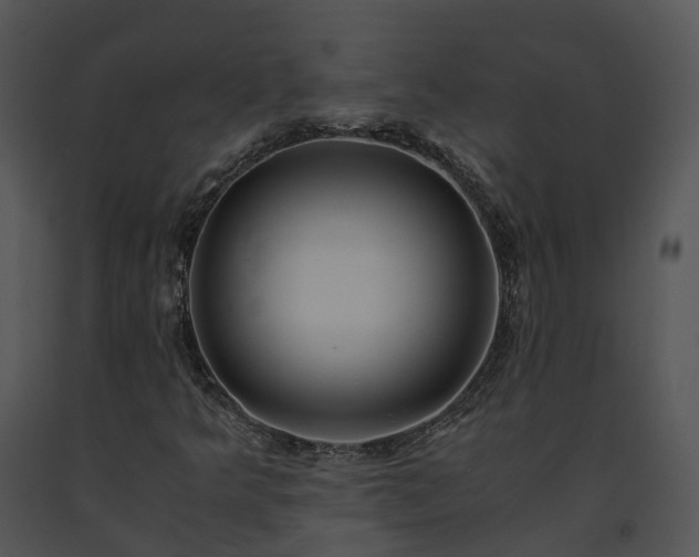 X0000091681349200708301511