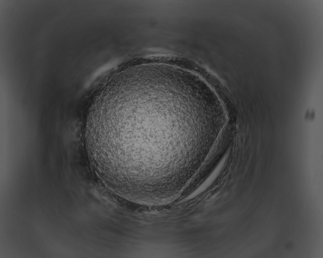 X0000091681351200708301511