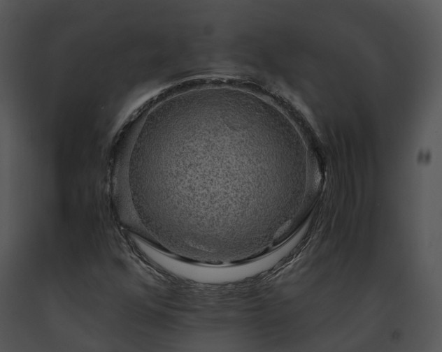 X0000091681352200708301511
