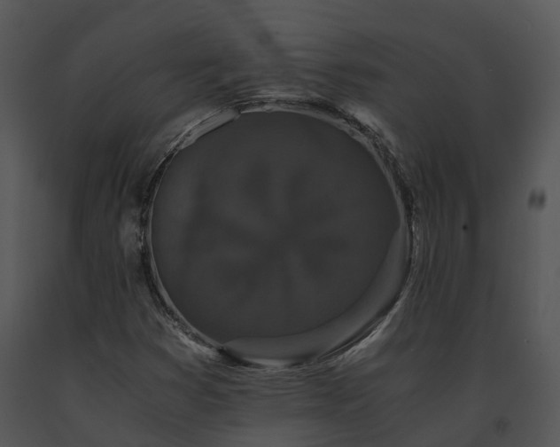X0000091681353200708301511