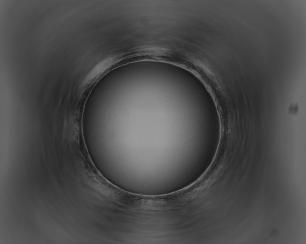 X0000091681354200708301511