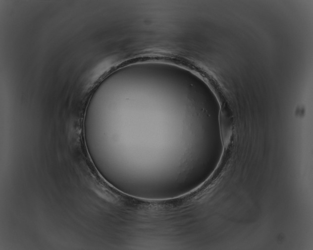 X0000091681355200708301511