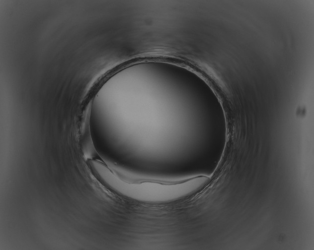X0000091681356200708301511