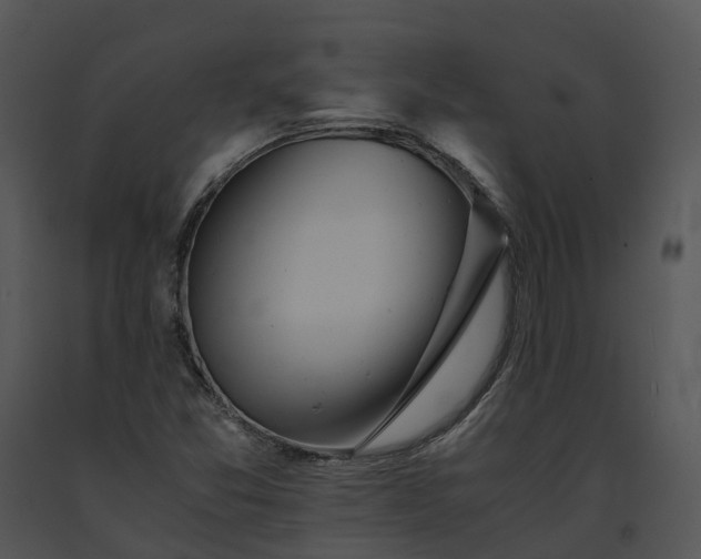 X0000091681357200708301511