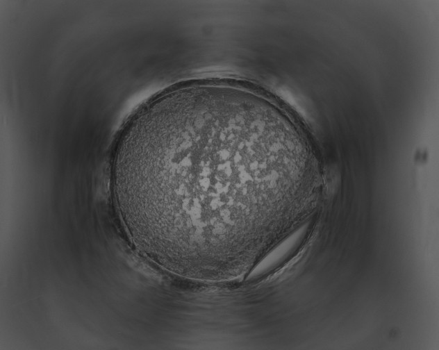 X0000091681358200708301511