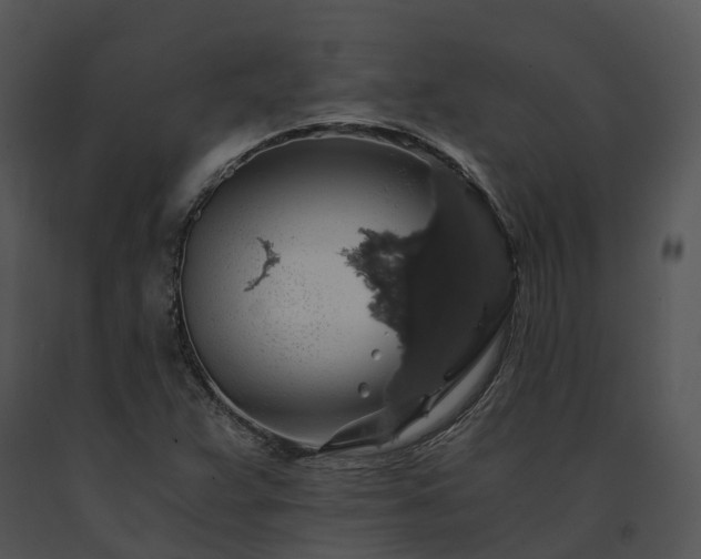 X0000091681359200708301511