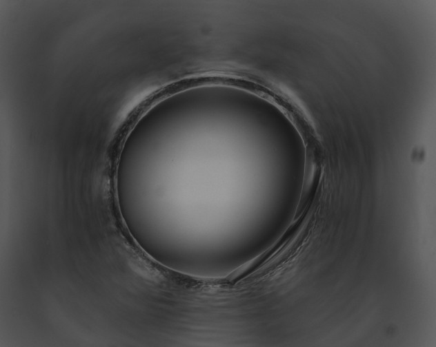X0000091681360200708301511