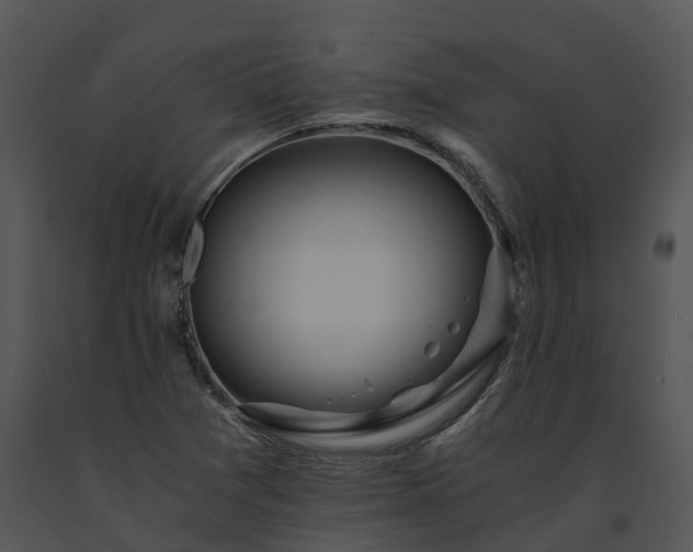 X0000091681361200708301511