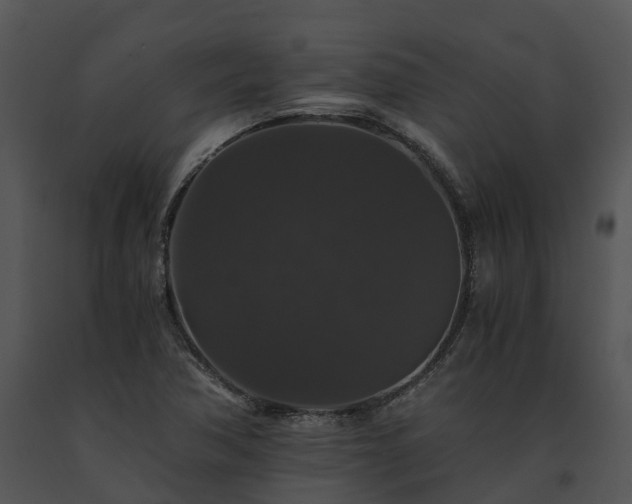 X0000091681362200708301511