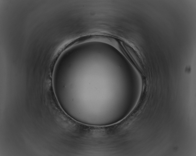 X0000091681363200708301511