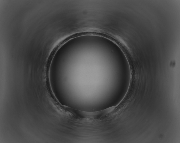 X0000091681364200708301511