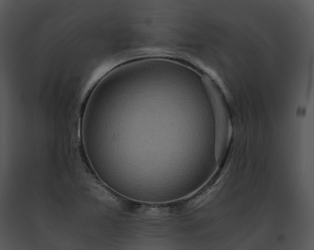 X0000091681365200708301511