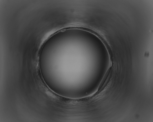 X0000091681366200708301511