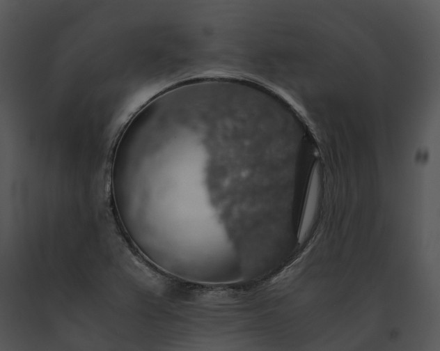 X0000091681367200708301511