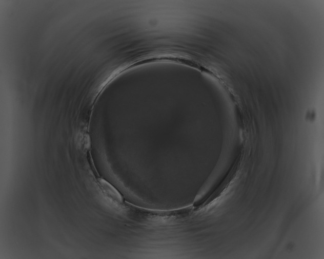 X0000091681369200708301511