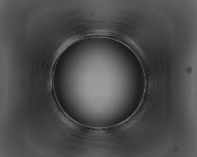 X0000091681370200708301511