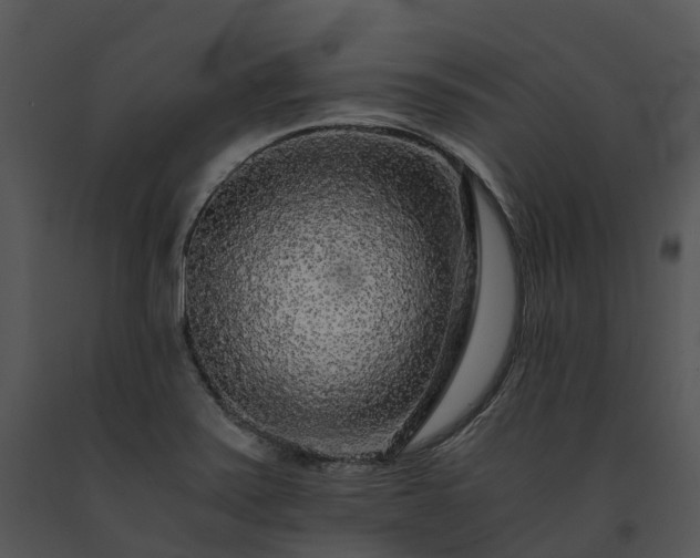 X0000091681371200708301511