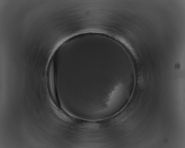 X0000091681372200708301511