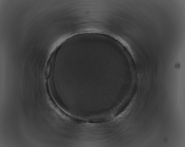 X0000091681373200708301511