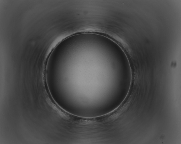 X0000091681374200708301511