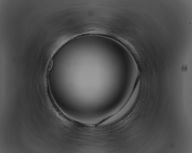 X0000091681375200708301511