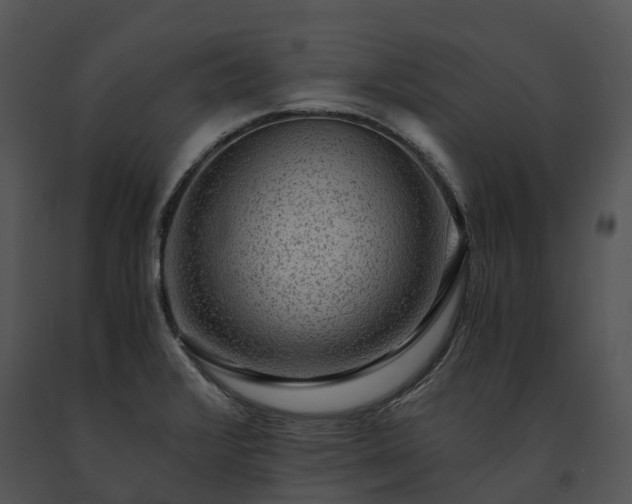 X0000091681376200708301511
