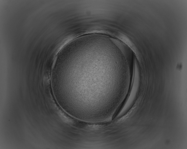 X0000091681377200708301511