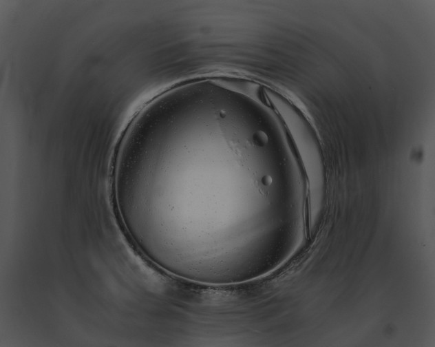 X0000091681379200708301511