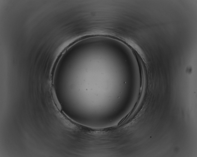 X0000091681380200708301511