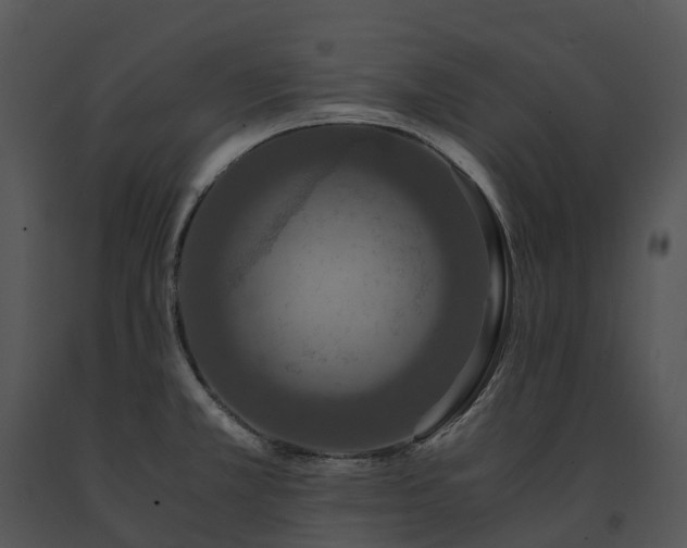 X0000091681381200708301511