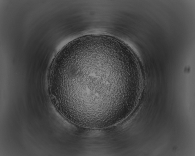 X0000091681382200708301511