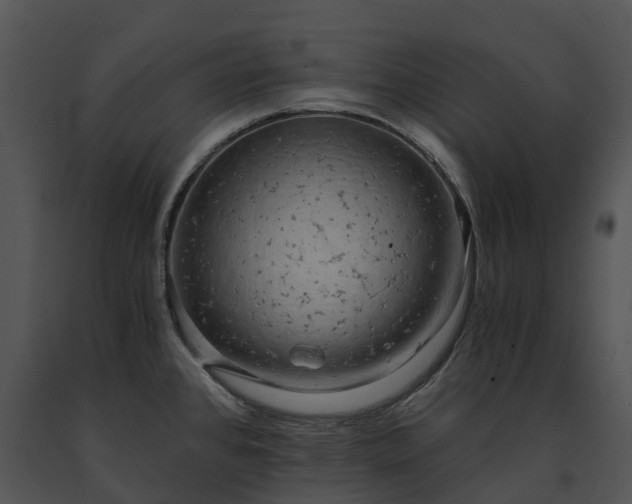 X0000091681384200708301511