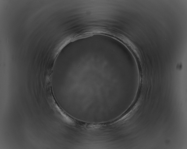 X0000091681385200708301511