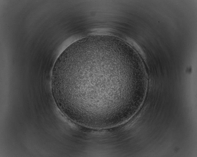 X0000091681386200708301511