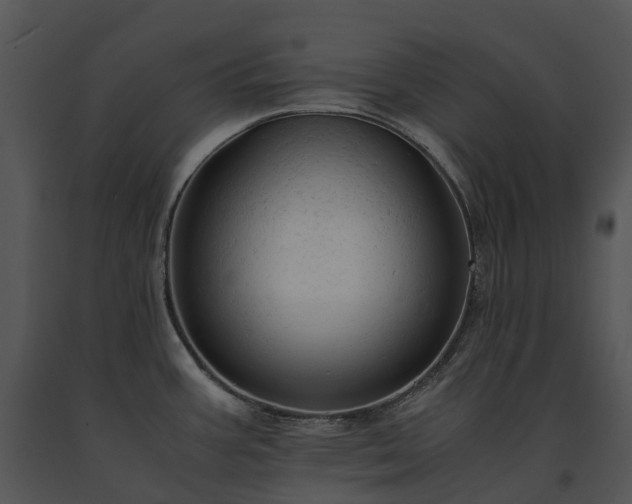 X0000091681387200708301511