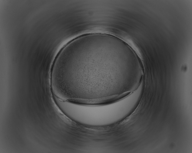 X0000091681388200708301511