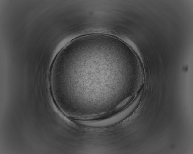 X0000091681389200708301511