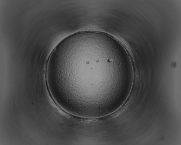 X0000091681390200708301511