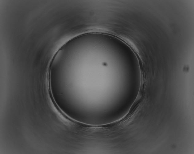 X0000091681391200708301511