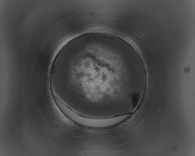 X0000091681392200708301511