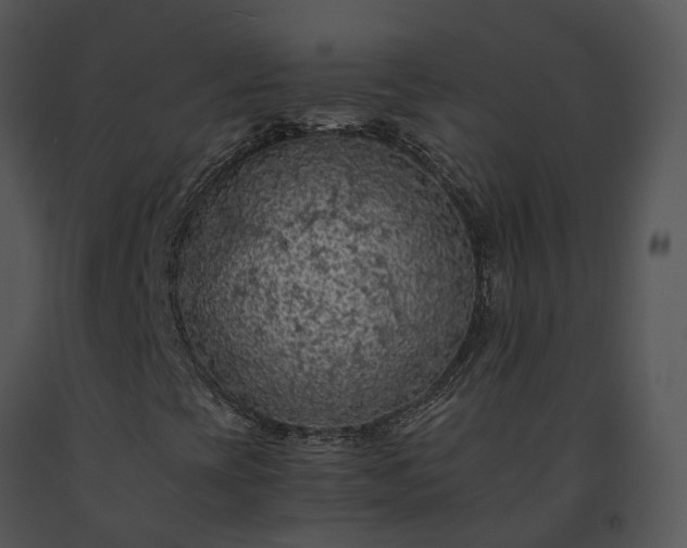 X0000091681393200708301510