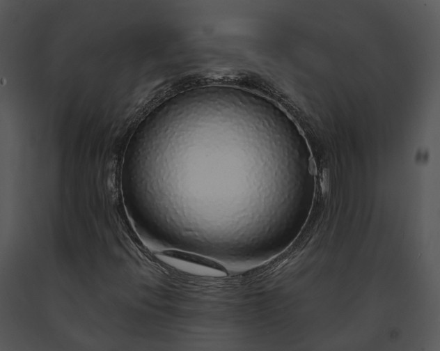 X0000091681396200708301510