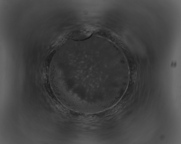 X0000091681397200708301510