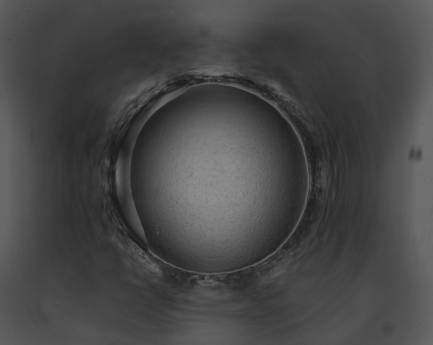 X0000091681398200708301510