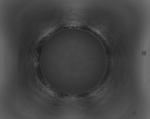 X0000091681399200708301510
