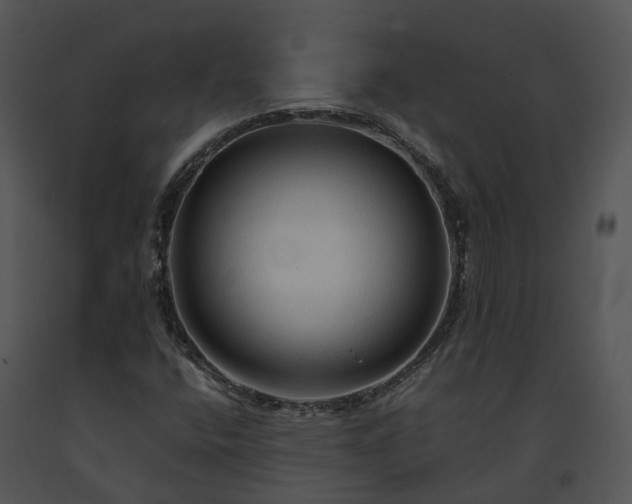 X0000091681400200708301510