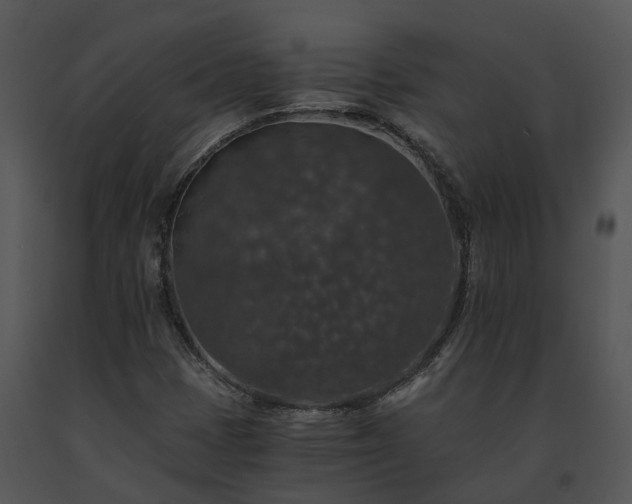 X0000091681401200708301510