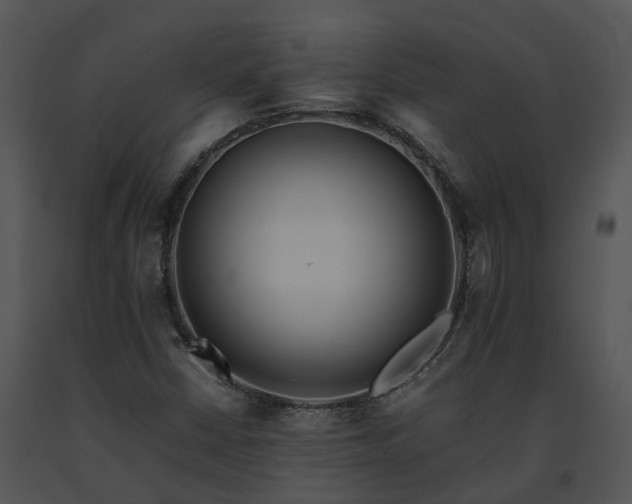 X0000091681402200708301510