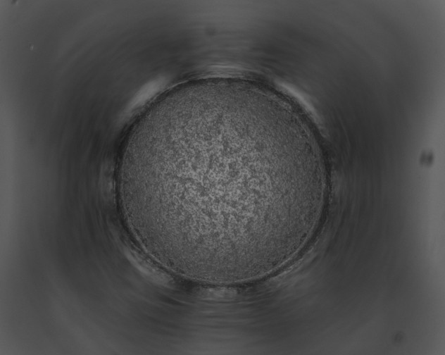 X0000091681403200708301510