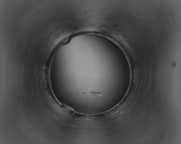 X0000091681404200708301510